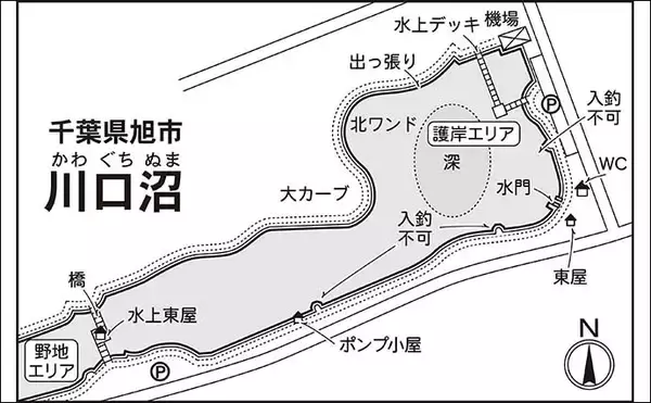 「今週のヘラブナ推薦釣り場2026【千葉・川口沼】」の画像