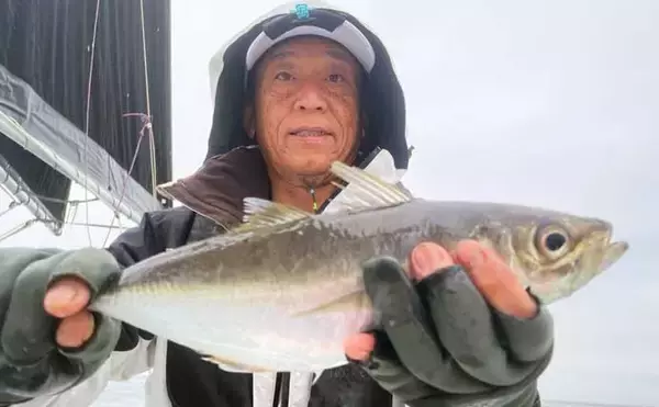 「関アジ・関サバ釣りで大型が好調ヒット中！【船釣り最新情報4選・大分／熊本】」の画像