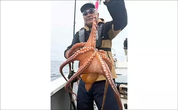 「関アジ・関サバ釣りで大型が好調ヒット中！【船釣り最新情報4選・大分／熊本】」の画像