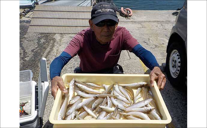 スルメイカ釣る人245匹！数釣り絶好のチャンス到来【船釣り釣果速報9選・愛知】