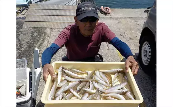 「スルメイカ釣る人245匹！数釣り絶好のチャンス到来【船釣り釣果速報9選・愛知】」の画像