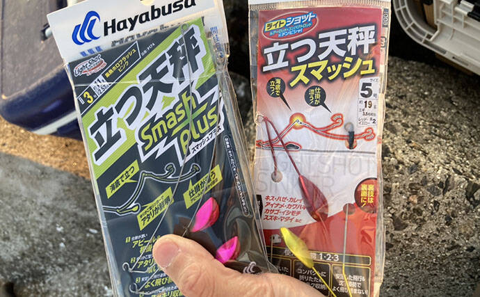 陸っぱり投げ釣り釣果レポート：吉崎海岸で14cm頭にシロギス24匹キャッチ！【三重】