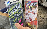 「陸っぱり投げ釣り釣果レポート：吉崎海岸で14cm頭にシロギス24匹キャッチ！【三重】」の画像3