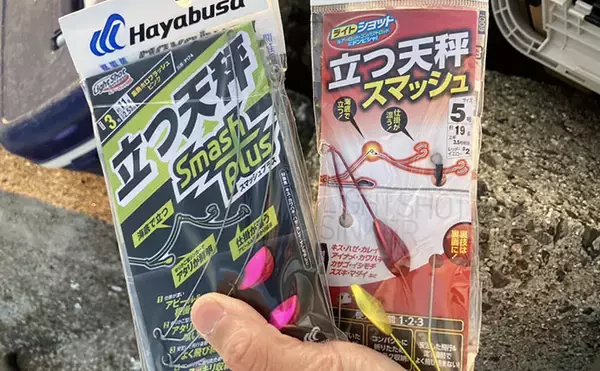 「陸っぱり投げ釣り釣果レポート：吉崎海岸で14cm頭にシロギス24匹キャッチ！【三重】」の画像