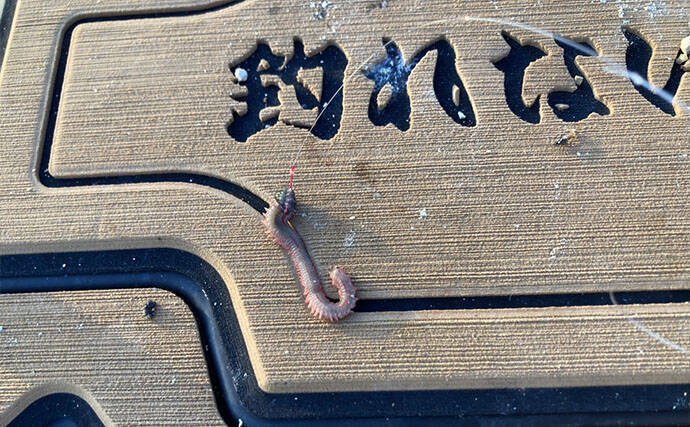 陸っぱり投げ釣り釣果レポート：吉崎海岸で14cm頭にシロギス24匹キャッチ！【三重】