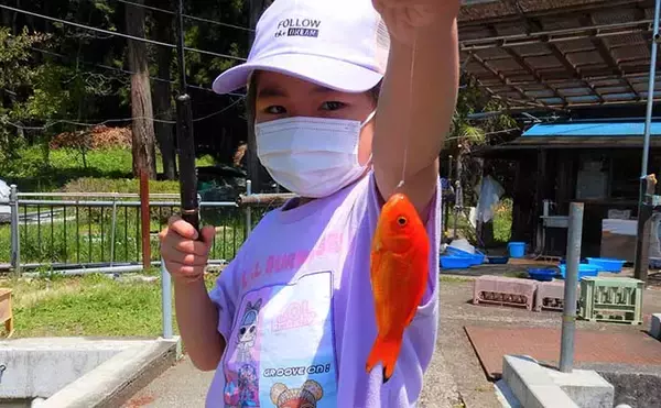 「淡水釣り堀で子連れキンギョ釣り　ウキ不使用の見釣りが難しくて面白い」の画像