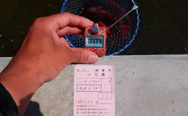 「淡水釣り堀で子連れキンギョ釣り　ウキ不使用の見釣りが難しくて面白い」の画像