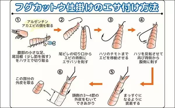 「東京湾の船フグ釣り『湾フグ』入門【タックル・仕掛け・エサ・釣り方のキホン】」の画像