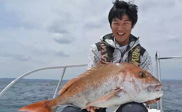 玄界灘でのタイラバゲームで87cm・7kgオーバー巨大マダイ浮上【福岡】