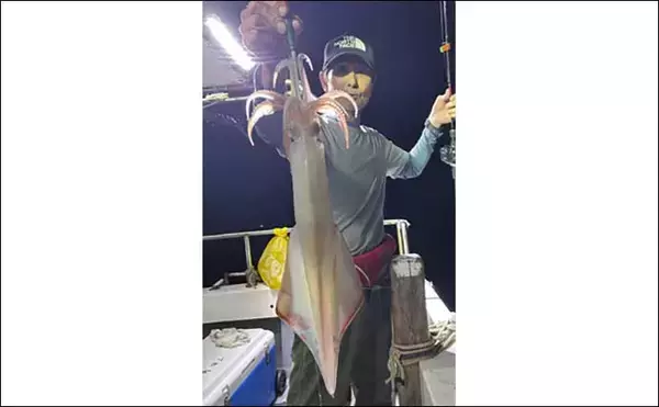 「【夜焚きイカ最新釣果】イカメタルでも100尾弱と釣果上向き！（福岡）」の画像