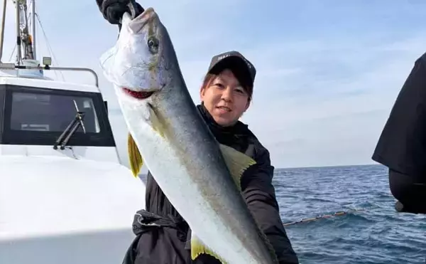 【沖釣り釣果速報】玄界灘の落とし込み釣りでヒラマサ110cm浮上！船中で青物50尾超えも（福岡）