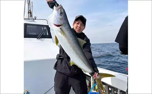 「【沖釣り釣果速報】玄界灘の落とし込み釣りでヒラマサ110cm浮上！船中で青物50尾超えも（福岡）」の画像