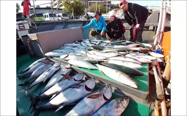 「【沖釣り釣果速報】玄界灘の落とし込み釣りでヒラマサ110cm浮上！船中で青物50尾超えも（福岡）」の画像