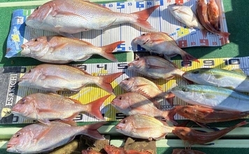 タイラバで本命マダイにハマチにホウボウなど多彩にヒット！【沖のルアー釣果速報・三重】