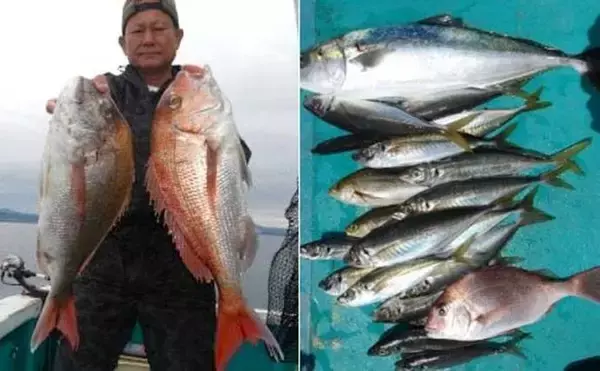 「「ディープタイラバでマダイが大爆釣！」関西エリアの【船釣り特選釣果7選】」の画像