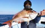 「【大分・熊本】沖釣り最新釣果　タチウオ狙いで指7本級など良型数釣り」の画像3