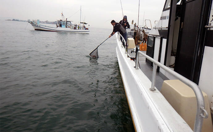 タイラバ釣行で小型主体もマダイ5尾【愛知県】スピニングタックルのちょい投げも有効