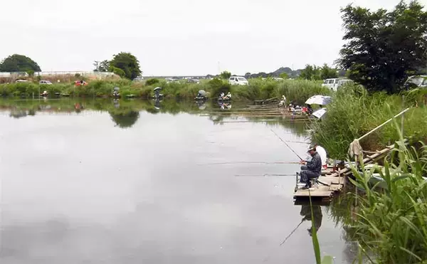 今週のヘラブナ推薦釣り場2024【埼玉・川田谷沼】