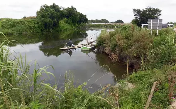 「今週のヘラブナ推薦釣り場2024【埼玉・川田谷沼】」の画像