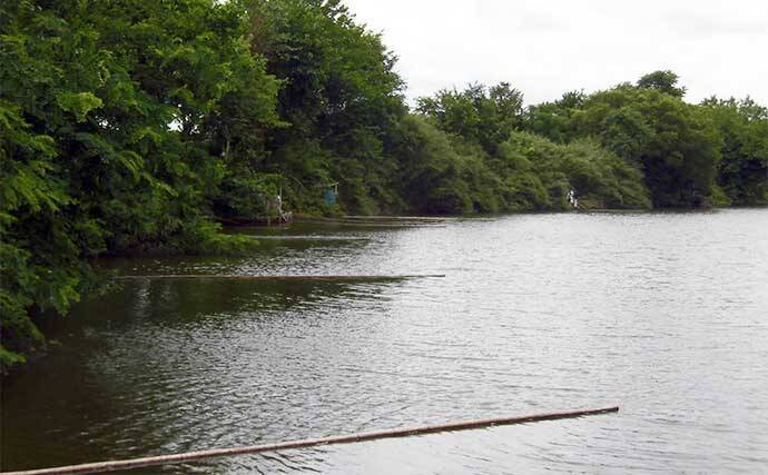 今週のヘラブナ推薦釣り場2024【埼玉・川田谷沼】