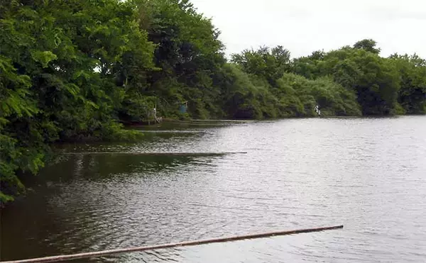 「今週のヘラブナ推薦釣り場2024【埼玉・川田谷沼】」の画像