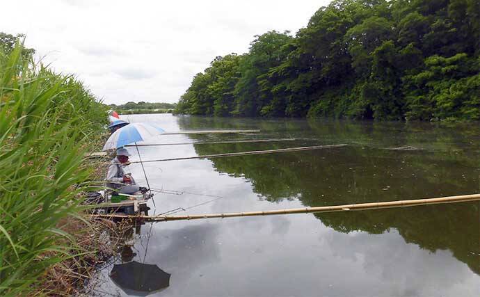 今週のヘラブナ推薦釣り場2024【埼玉・川田谷沼】