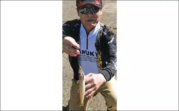 「投げ釣りで26cm頭にシロギス70尾超え【長崎】ゲストにマダイやマゴチも顔見せ」の画像