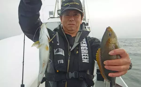 「玄界灘のイサキ釣りで40cm筆頭に船中平均40尾の好釣果【福岡】竿頭は53尾キャッチ」の画像