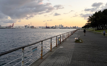 陸っぱりルアー釣りは朝と夕方どちらが楽しめる？　初心者こそ朝マヅメを推奨