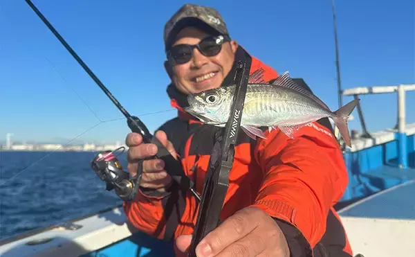 「「東京湾バチコンアジングが面白い！」25cm級アジの入れ食いを堪能【渡辺釣船店】」の画像