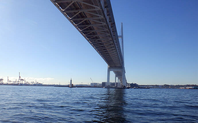 「東京湾バチコンアジングが面白い！」25cm級アジの入れ食いを堪能【渡辺釣船店】