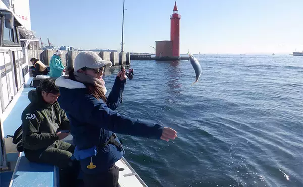 「「東京湾バチコンアジングが面白い！」25cm級アジの入れ食いを堪能【渡辺釣船店】」の画像