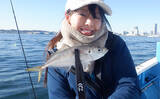 「「東京湾バチコンアジングが面白い！」25cm級アジの入れ食いを堪能【渡辺釣船店】」の画像9