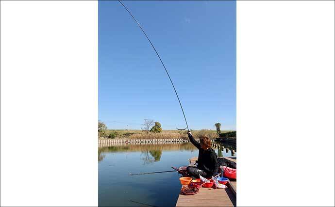 吉田康雄のザ・チャレンジへらぶな【放流日の翌日ってどうよ！？#4】