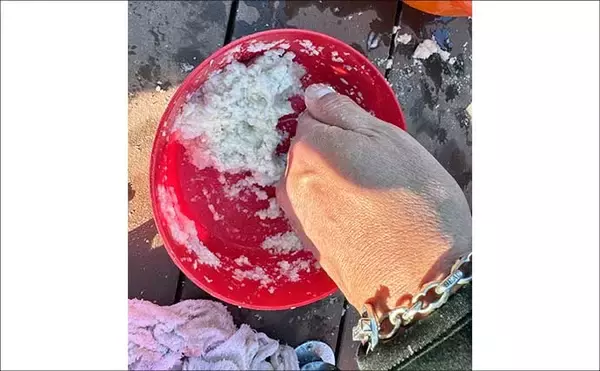 「吉田康雄のザ・チャレンジへらぶな【放流日の翌日ってどうよ！？#4】」の画像