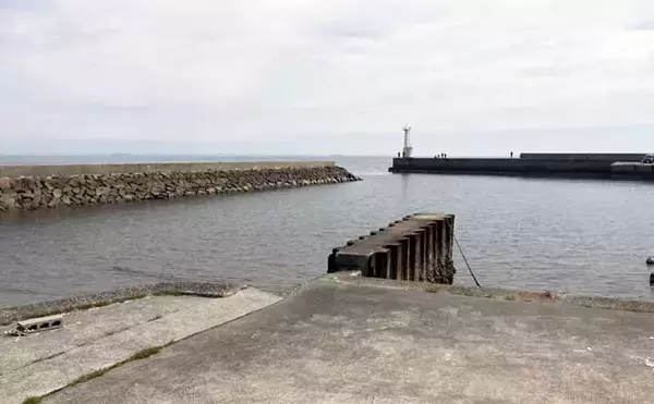 「船での「ワカメ狩り」体験が面白い＆美味しい！　箕田消波ブロック帯で旬のワカメをGET」の画像