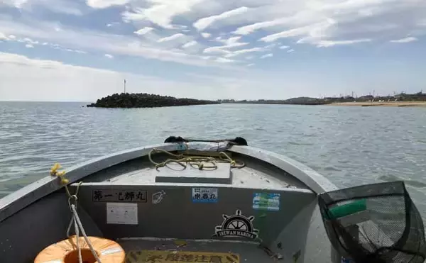 「船での「ワカメ狩り」体験が面白い＆美味しい！　箕田消波ブロック帯で旬のワカメをGET」の画像