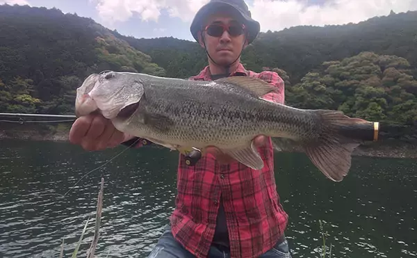 スポーニング進行を見極めて良型バス連発！ 七川ダムをおかっぱりで攻略【和歌山】
