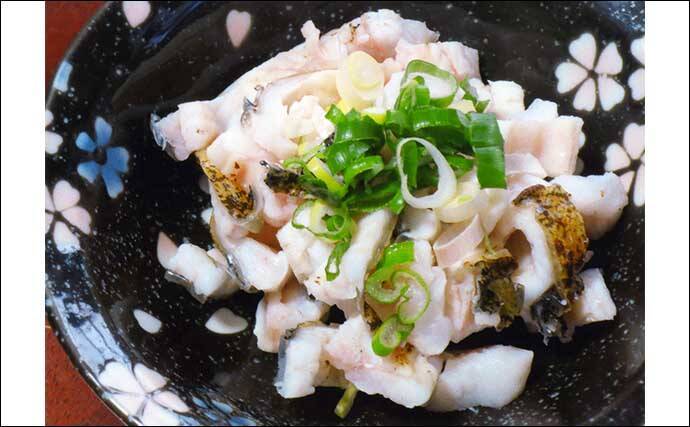 釣り人的 ゲスト魚地位向上 レシピ 淡水 海水魚4種をまとめて紹介 22年9月4日 エキサイトニュース 釣り人的 ゲスト魚地位向上 レシピ 淡水 海水魚4種をまとめて紹介 22年9月4日 エキサイトニュース