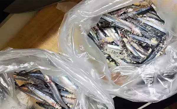 「根魚狙いの堤防ウキ釣り解説　【釣れない時に試したい４つのポイントとは？】」の画像
