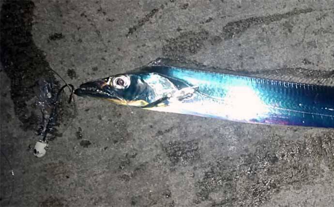 釣り人は寒い時期はどう過ごす？【オフシーズンにやっておきたいこと4選】