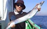 「「型も数もバッチリ！」東京湾天秤タチウオ釣りでF4級25本キャッチ【神奈川・又エム丸】」の画像1