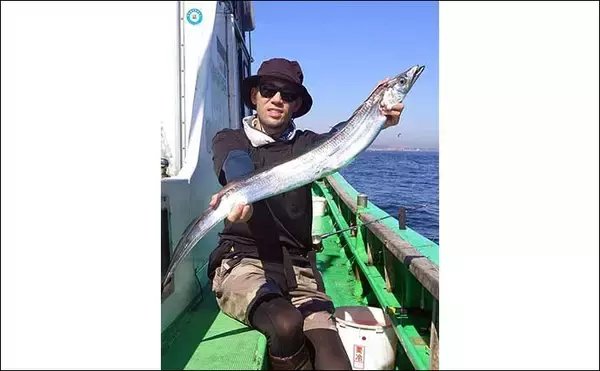 「「型も数もバッチリ！」東京湾天秤タチウオ釣りでF4級25本キャッチ【神奈川・又エム丸】」の画像