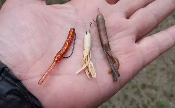 「厳寒期のルアー釣りでカサゴが連発！チューブワームのダートアクションに好反応【岡山】」の画像