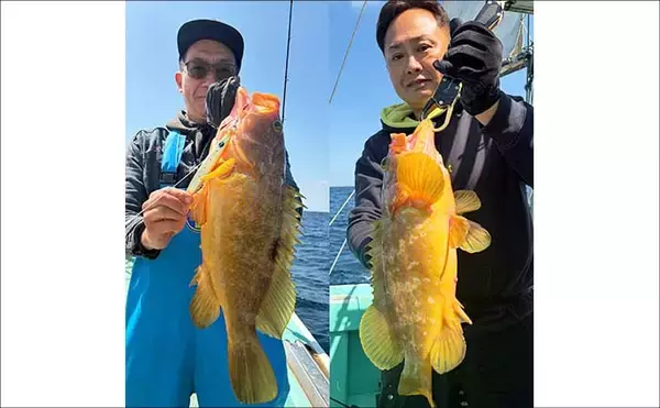 「響灘ジギングで10kg級良型ヒラマサを連打！【オフショアルアー釣果速報7選・福岡】」の画像