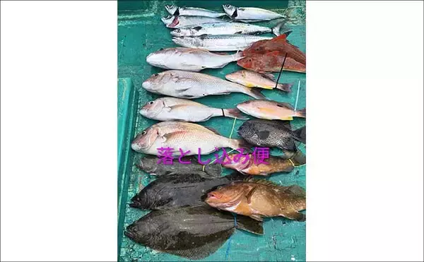 「明石沖で良型交じりにマダコが好ヒット中！　関西エリアの【船釣り特選釣果7選】」の画像