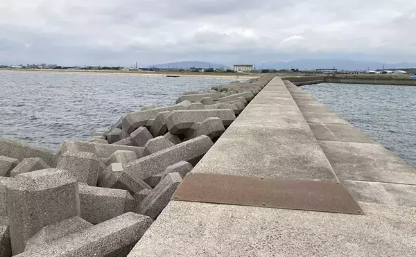 「東海エリア投げ釣りレポート：白塚漁港のちょい投げでシロギス1時間で20匹【三重】」の画像