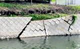 「都市河川での釣りを愛するアングラーが考察　年々酷くなる河川の汚れに危機感を持とう」の画像13