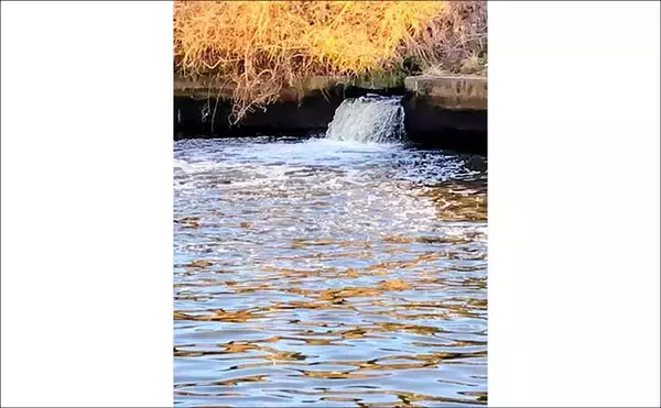 「都市河川での釣りを愛するアングラーが考察　年々酷くなる河川の汚れに危機感を持とう」の画像