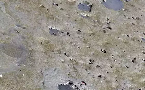 「都市河川での釣りを愛するアングラーが考察　年々酷くなる河川の汚れに危機感を持とう」の画像